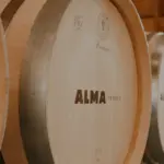 3-min_14a7cfd2-f9b6-4e02-bacb-abb12971ab04