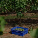 PE - sb 23-21 copiar