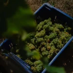 PE - sb 23-22 copiar