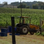 PE - sb 23-30 copiar