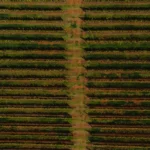 PE - sb 23-33 copiar