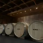 large_alma_gerais_12_c0f68452bc